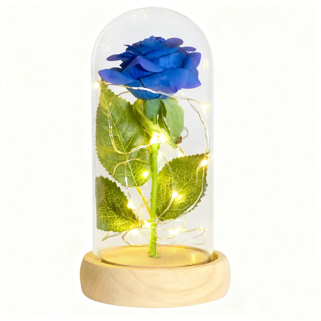 Forever Rose in Glass Dome with LED Lights