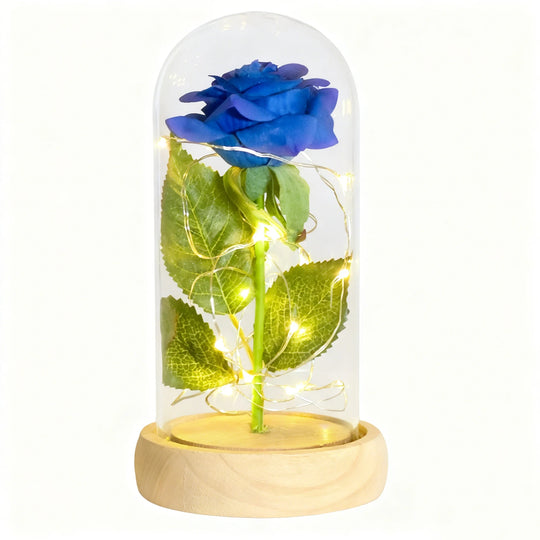 Forever Rose in Glass Dome with LED Lights