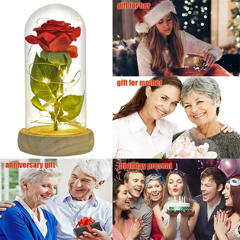 Forever Rose in Glass Dome with LED Lights