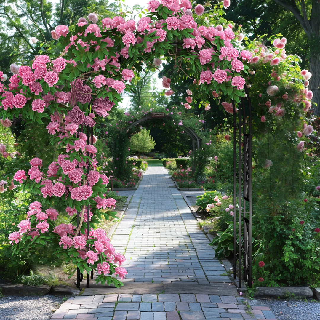 Heavy Duty Metal Garden Arbor for Climbing Plants