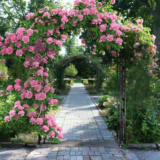 Heavy Duty Metal Garden Arbor for Climbing Plants