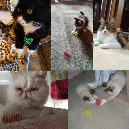12-Piece Colorful Cat Spring Toy Set