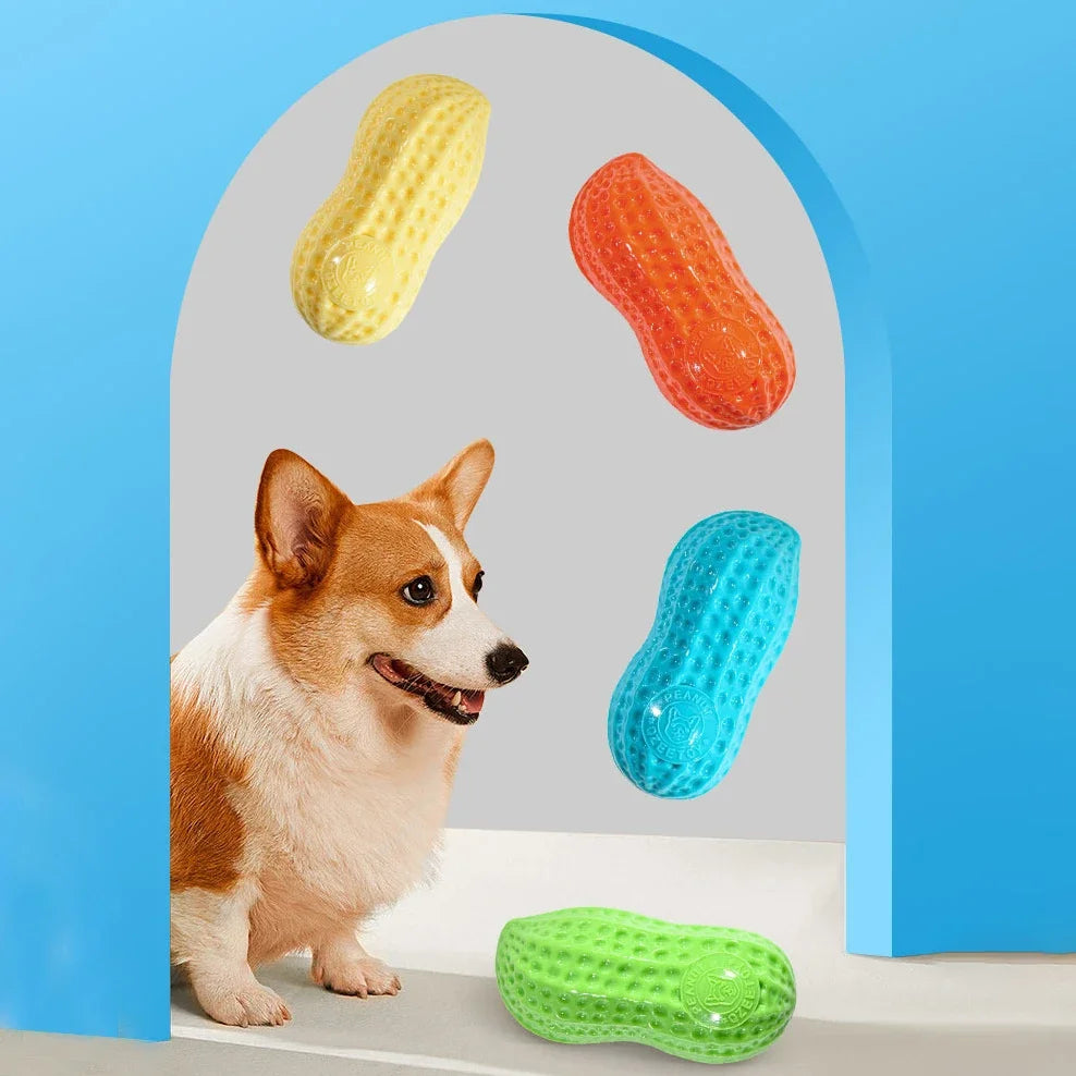 Peanut Shaped TPR Dog Chew Toy with Squeaker