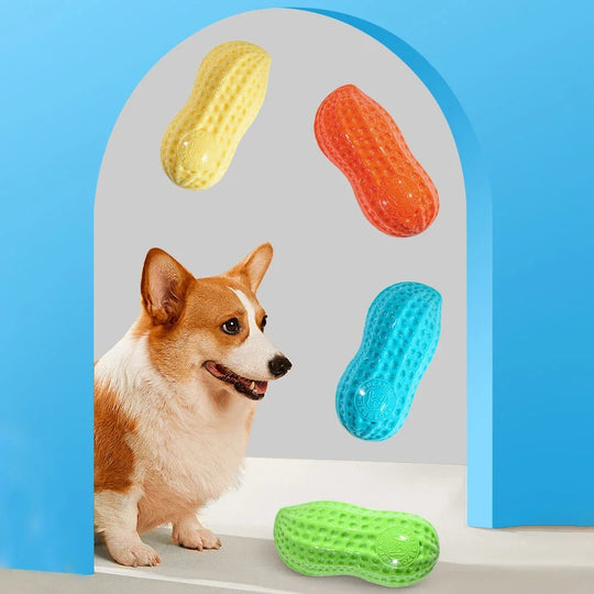 Peanut Shaped TPR Dog Chew Toy with Squeaker