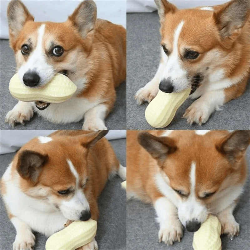 Peanut Shaped TPR Dog Chew Toy with Squeaker