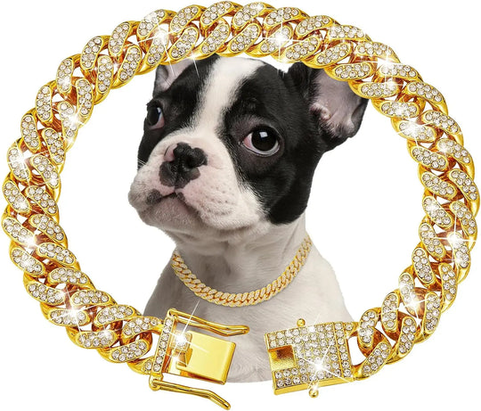 Luxury Gold Stainless Steel Dog Chain Collar