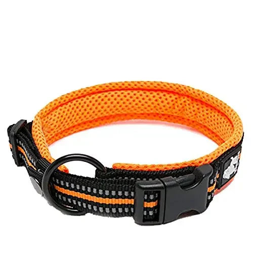 Truelove Padded Reflective Adjustable Dog Collar