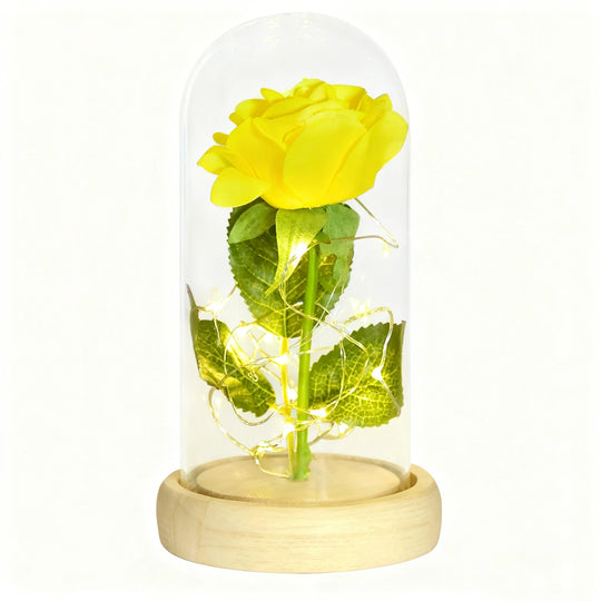 Forever Rose in Glass Dome with LED Lights
