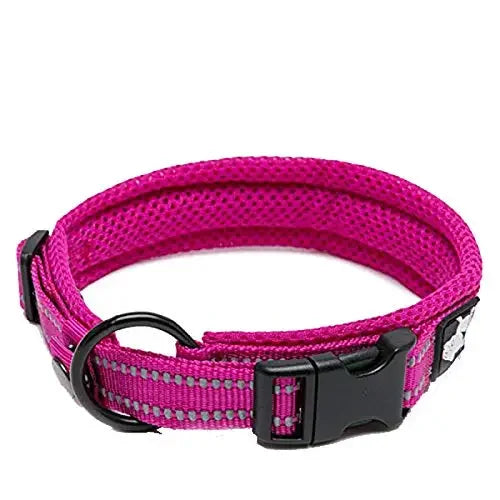 Truelove Padded Reflective Adjustable Dog Collar