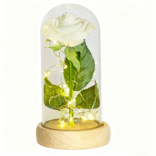 Forever Rose in Glass Dome with LED Lights