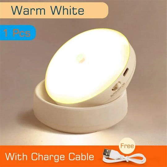 USB Rechargeable Motion Sensor LED Night Light