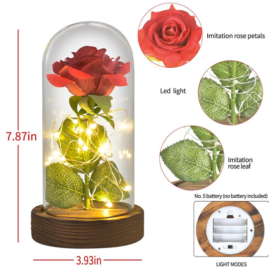 Forever Rose in Glass Dome with LED Lights