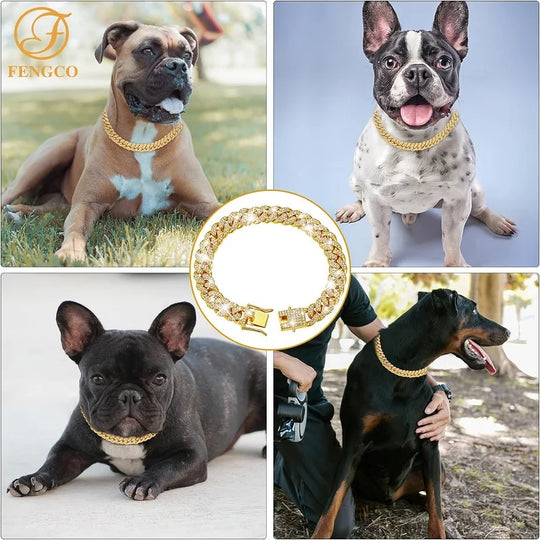 Luxury Gold Stainless Steel Dog Chain Collar