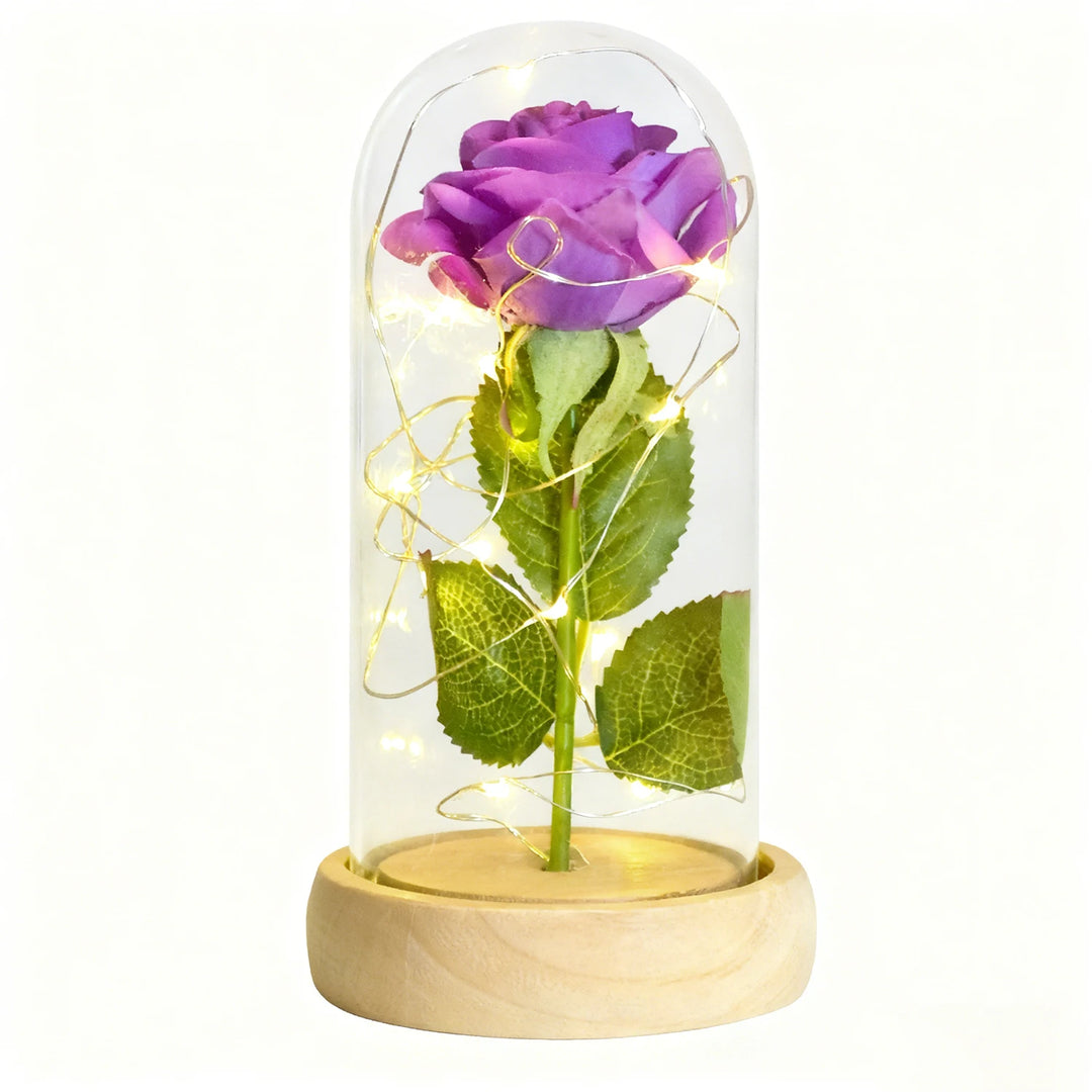 Forever Rose in Glass Dome with LED Lights
