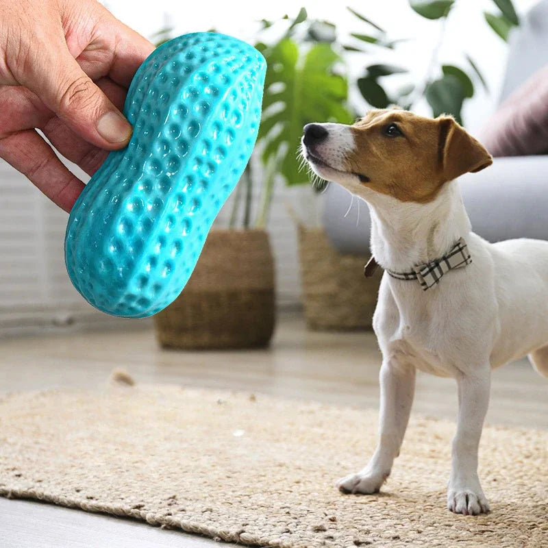Peanut Shaped TPR Dog Chew Toy with Squeaker