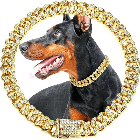 Luxury Gold Stainless Steel Dog Chain Collar