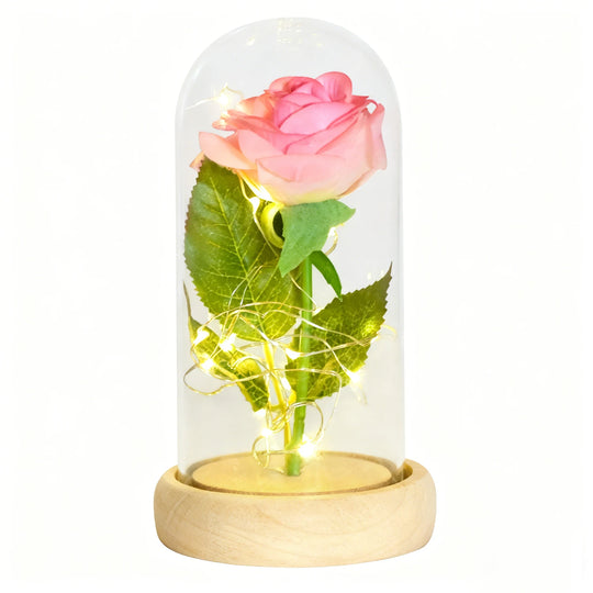 Forever Rose in Glass Dome with LED Lights