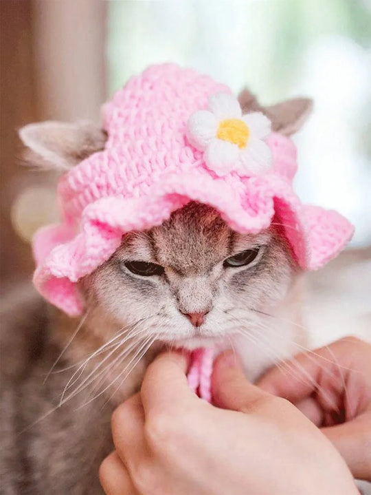 Knitted Floral Pet Hat for Cats &amp; Small Dogs