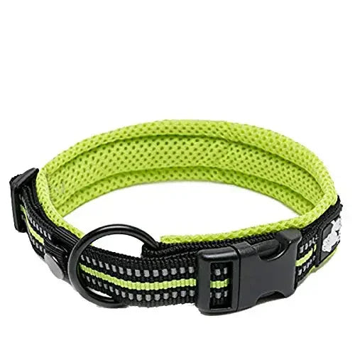 Truelove Padded Reflective Adjustable Dog Collar