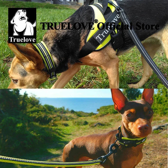 Truelove Padded Reflective Adjustable Dog Collar