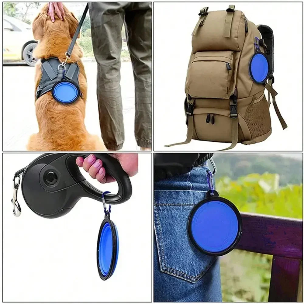 Collapsible Silicone Pet Travel Bowl with Carabiner