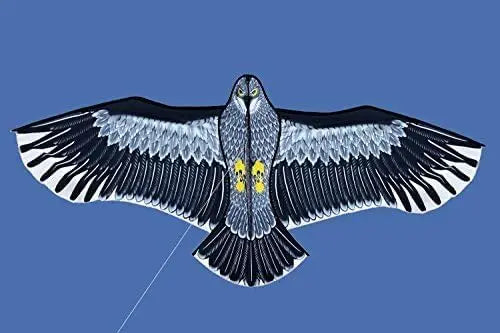 185cm Eagle Kite with Handle &amp; 30m Flying Line