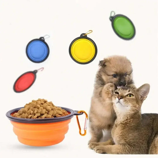 Collapsible Silicone Pet Travel Bowl with Carabiner