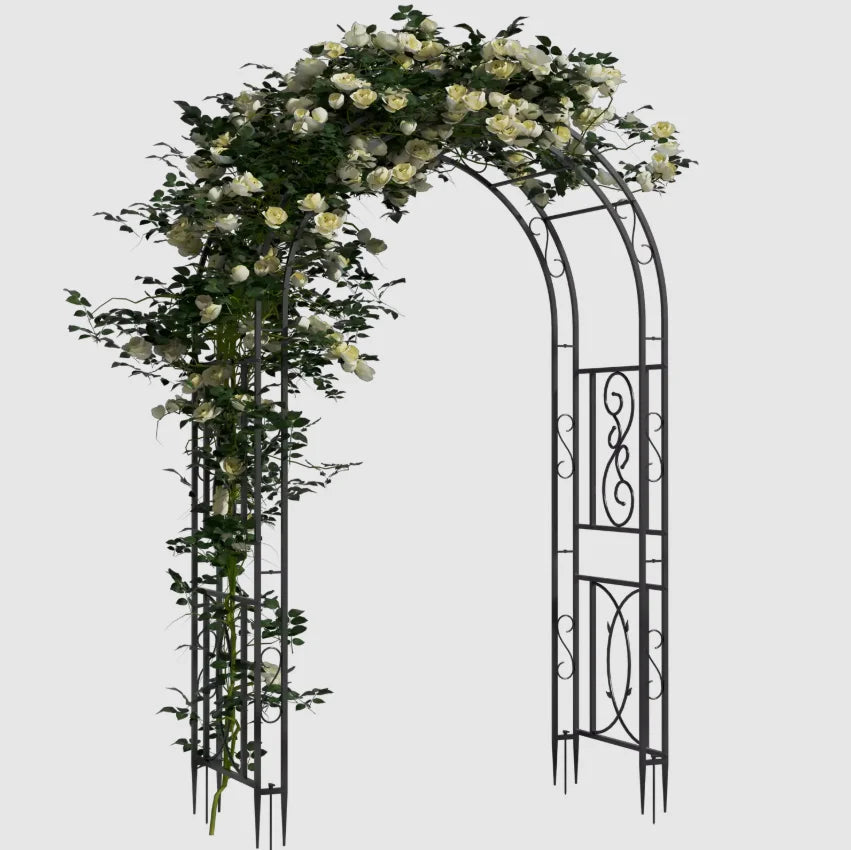 Heavy Duty Metal Garden Arbor for Climbing Plants