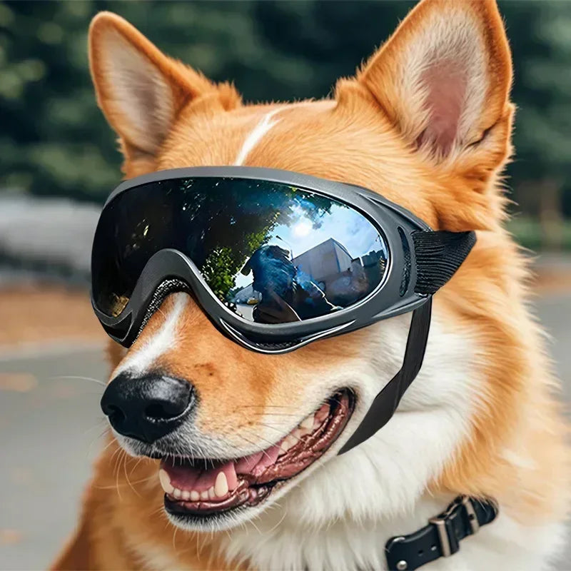 Adjustable Anti-UV Dog Goggles Windproof Pet Sunglasses