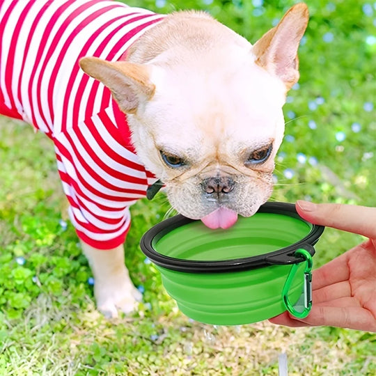 Collapsible Portable TPR Pet Travel Bowl