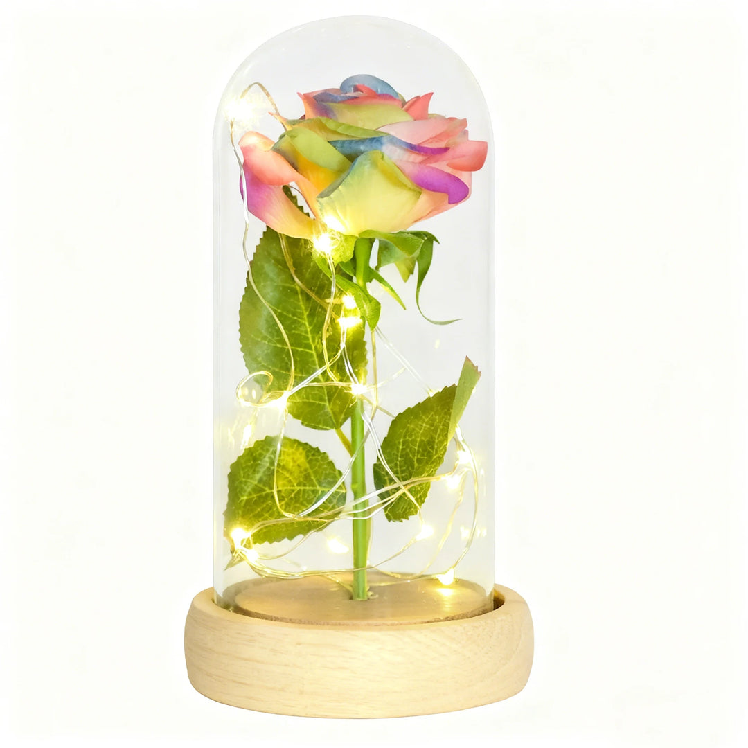 Forever Rose in Glass Dome with LED Lights