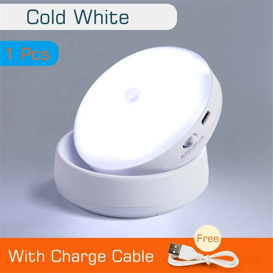 USB Rechargeable Motion Sensor LED Night Light