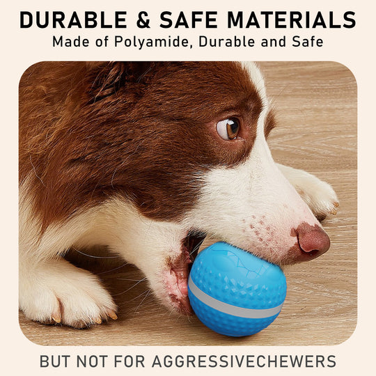 Motion-Activated Interactive Dog Ball