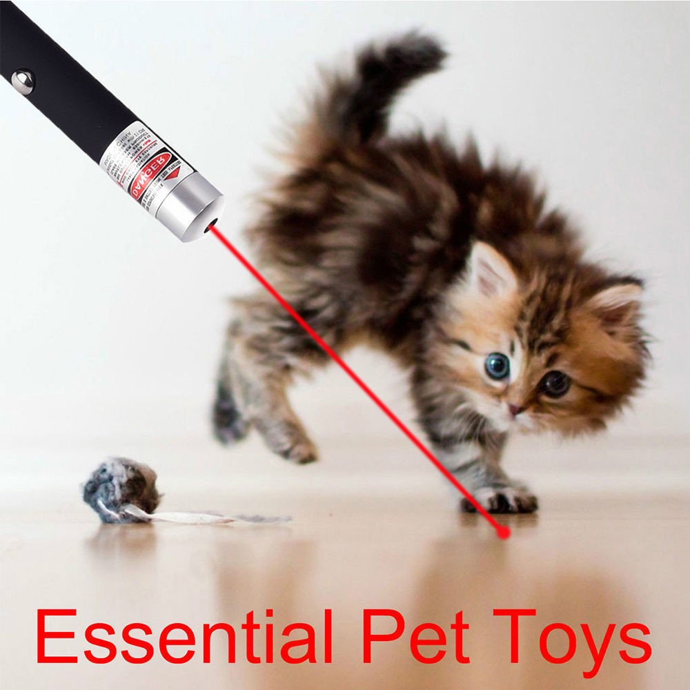 10-Pack 650nm Red Laser Pointer Pens