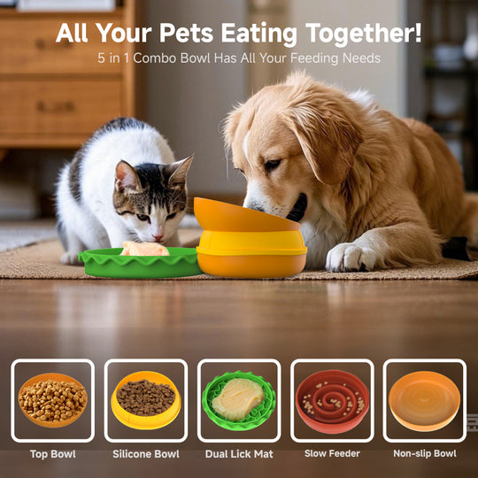 5-in-1 Hamburger-Style Pet Bowl Set