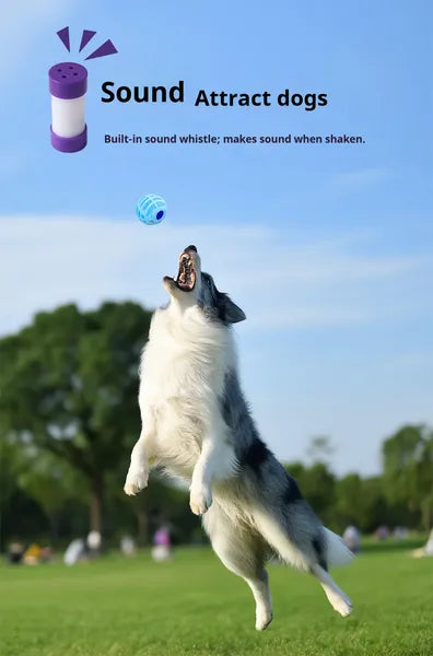 Interactive Sound Ball for Dogs &amp; Cats