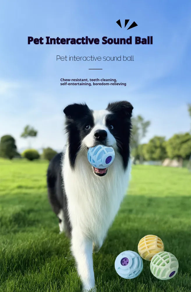 Interactive Sound Ball for Dogs &amp; Cats