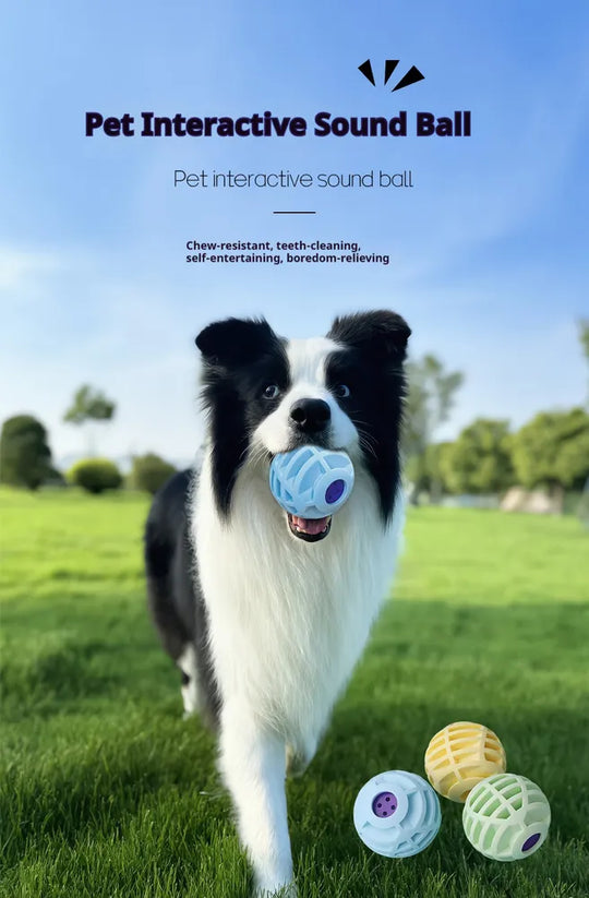 Interactive Sound Ball for Dogs &amp; Cats