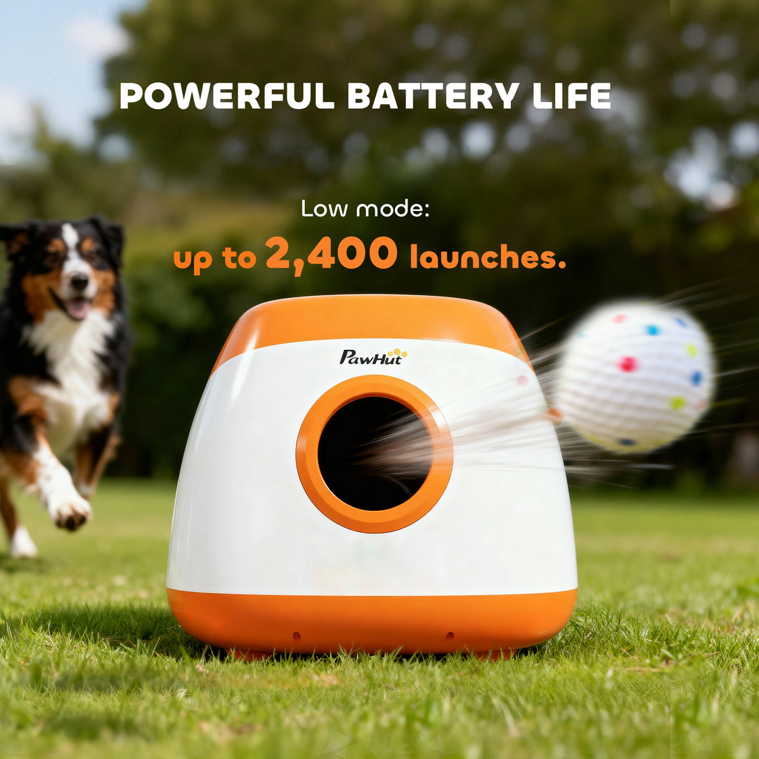 Automatic Dog Ball Launcher with 26–79-Foot Range