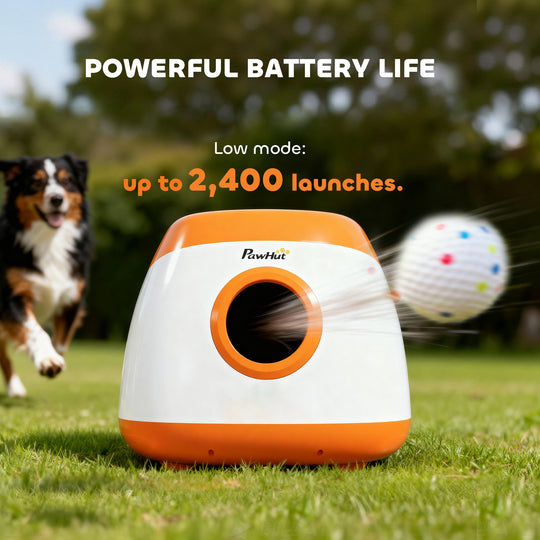 Automatic Dog Ball Launcher with 26–79-Foot Range